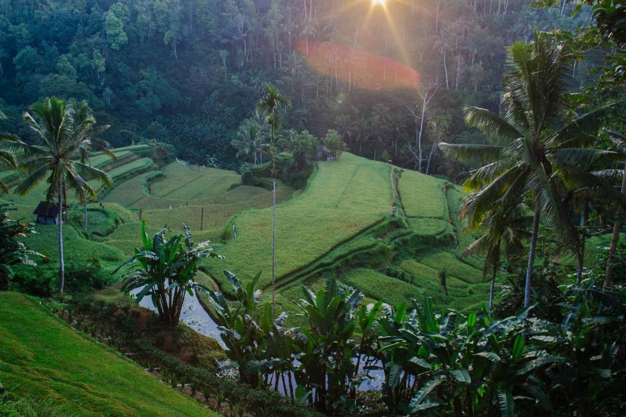 Suarapura Resort&Spa Tegallalang  Bagian luar foto