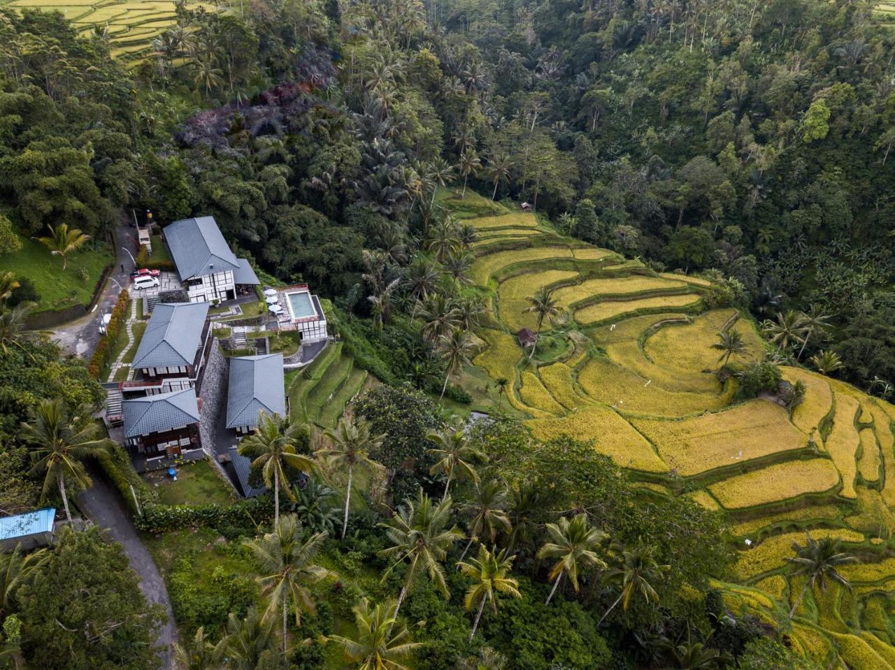 Suarapura Resort&Spa Tegallalang  Bagian luar foto